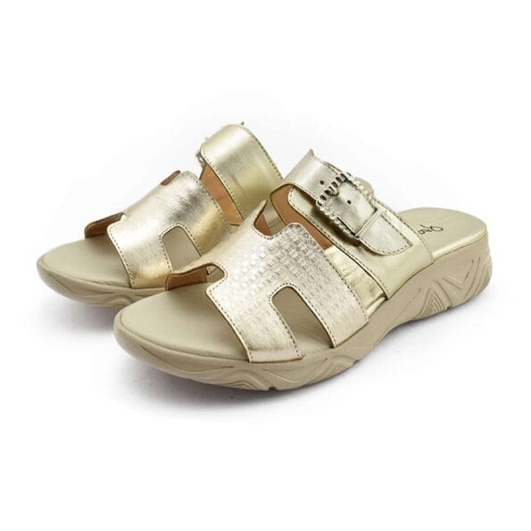 Zueco Mujer Cuero Claris Confort.jpg1 .jpg11