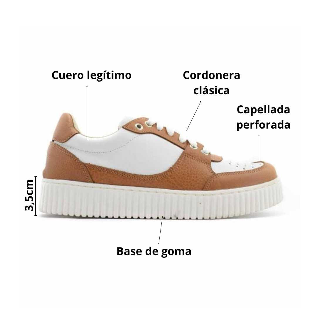 zapatillas-urbanas-dinobutelli.jpg5