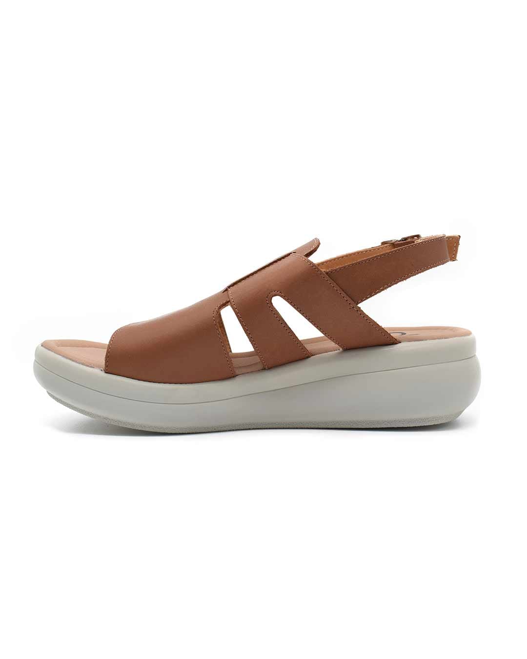 Texto del párrafo (7)