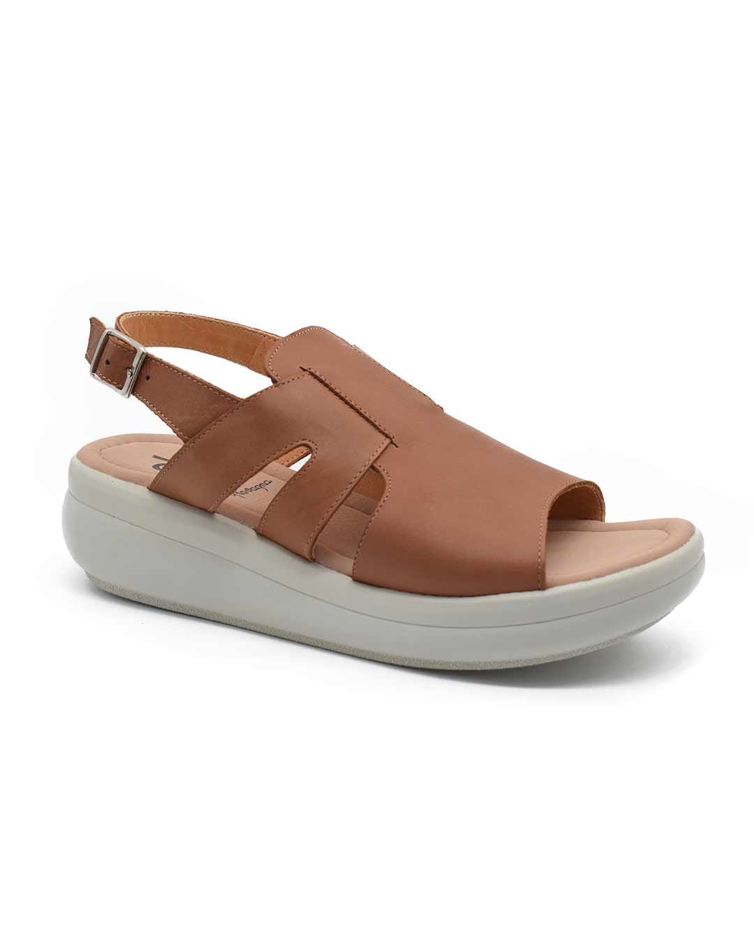 Texto del párrafo (7)