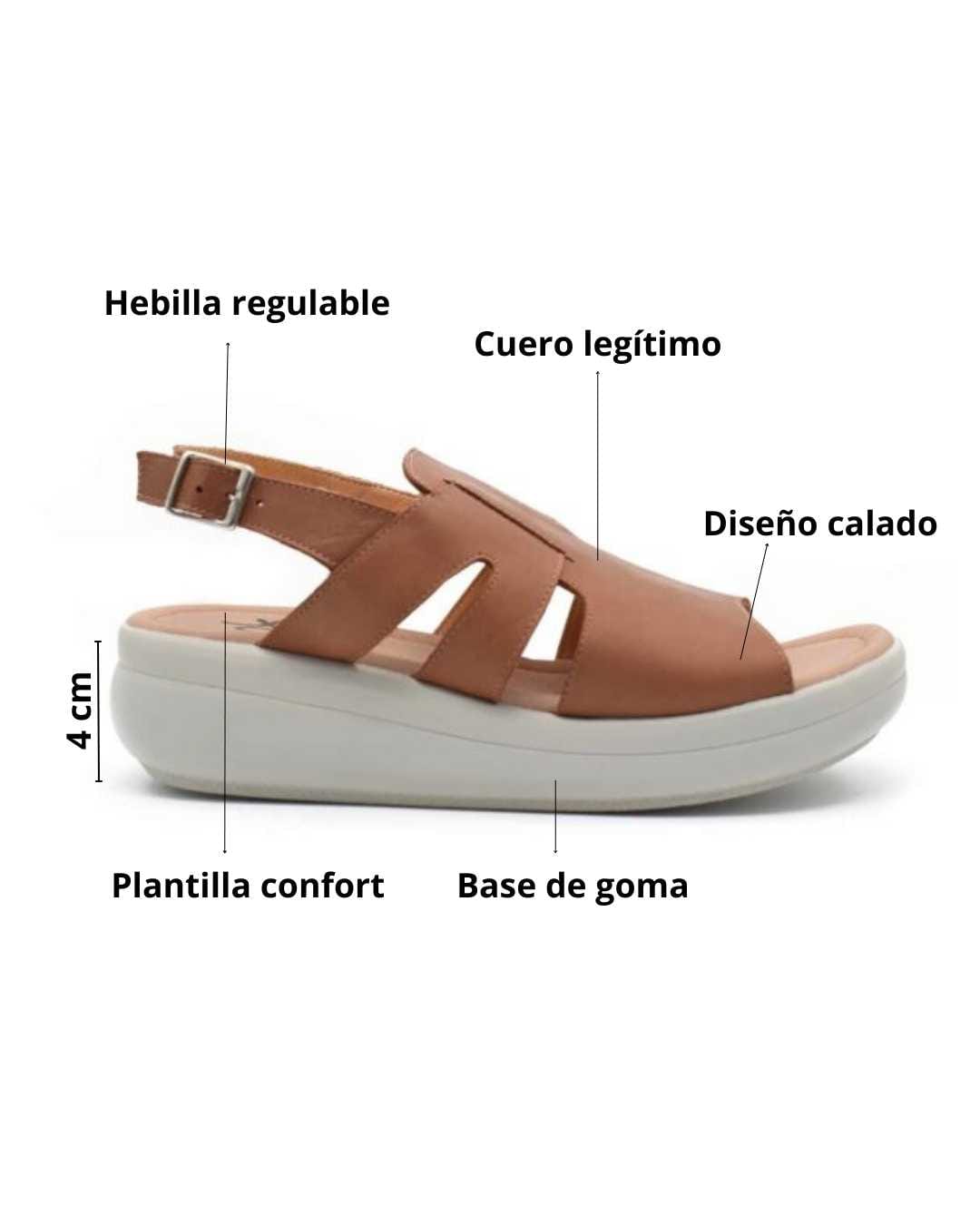 Texto del párrafo (7)